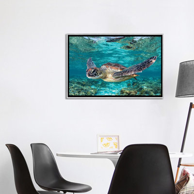 Learn to Fly by Jordan Robins - Photograph Print