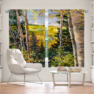 Delaughter Room Darkening Curtains / Drapes Pair