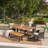 Mccourt 6 - Person Acacia Solid Wood Patio Dining Set Rectangular Table