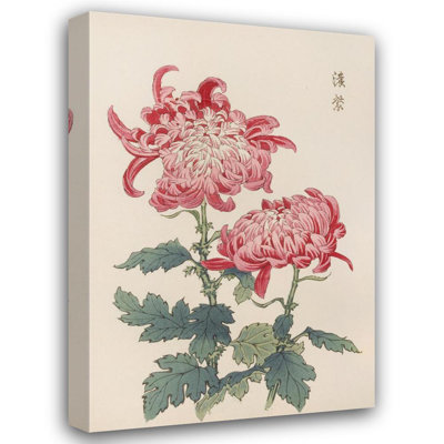 "Keika Hyakugiku, Pl.23" by  Keika Hasegawa - Gallery Wrap Canvas Wall Art