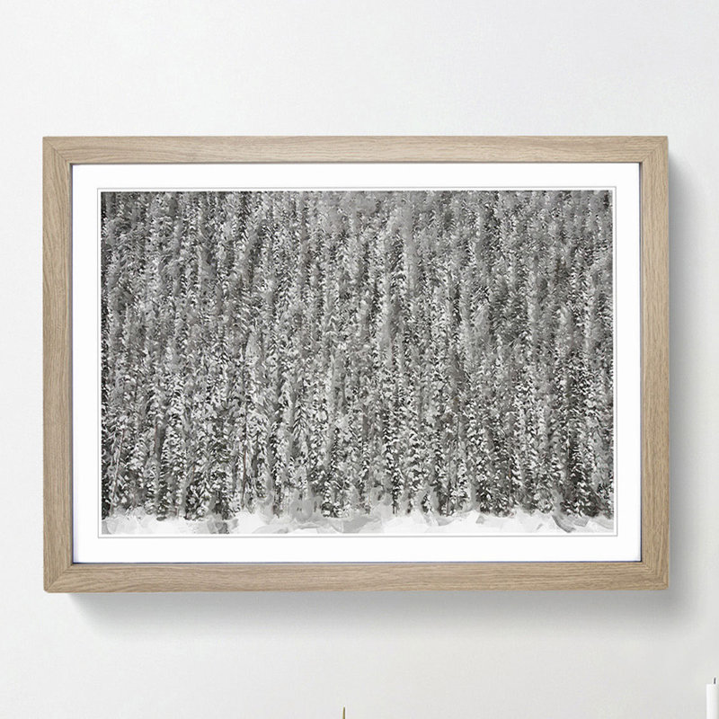 The Winter Forest in Canada in Abstract - Framed Print, 35cm H x 50cm W x 2cm D, Oak