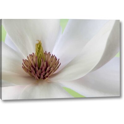Detail of Magnolia Flower' Photographic Print on Wrapped Canvas -  Winston Porter, C154A5B002A64F239A777CF6BEB8ADDA