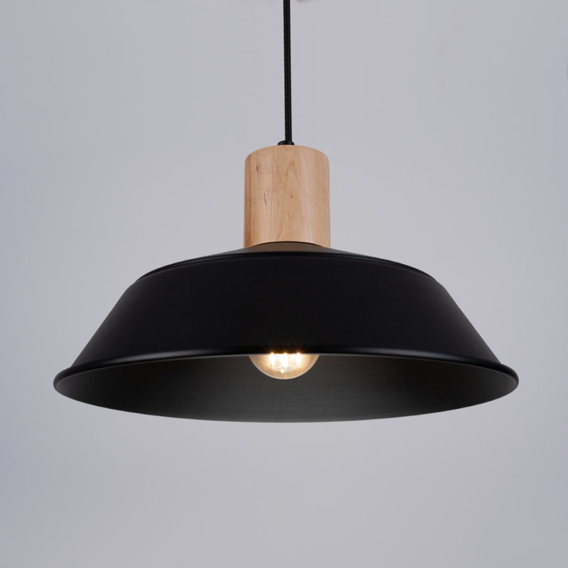 1 - Light Stainless Steel Pendant, Black