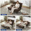 Upholstered Accent Chair-1414441661-1414441660