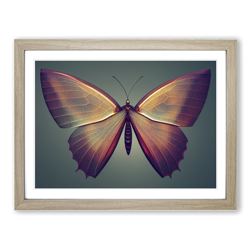 Compelling Butterfly - Single Picture Frame Print, Oak Framed, 34cm H x 46cm W x 2cm D