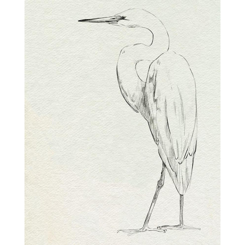 Reproduction d'art sur toile Beachcrest Home ™ Caroline, Emma, Erect Egret IV, H 44 po x l 36 po