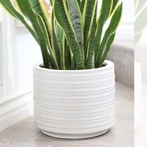Oakrain Mid Century Planters for Indoor Plants, Set of 2, Modern Decorative  Metal Pots for Living Room, Office, Garden or Balcony, Gray and White