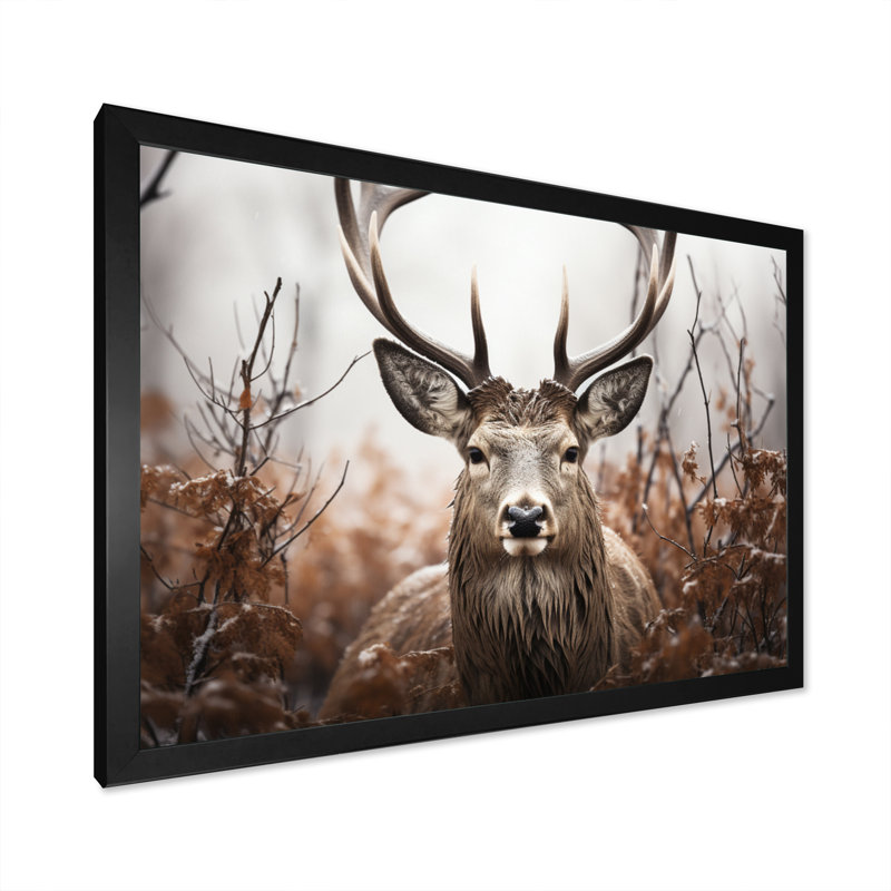 " Deer Monochrome Photography II ", Black Single Picture Framed, 24" H x 32" W x 1" D