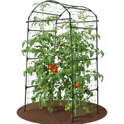 79" Garden Trellis Arch for Climbing Plants – Tall Outdoor Metal Trellis for Vegetables