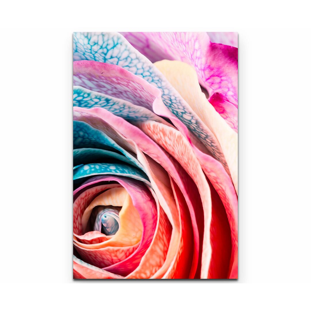 Leinwandbild Regenbogen Rose