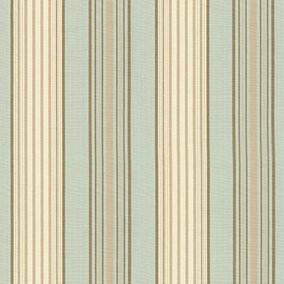 Saratoga Cotton Stripe Fabric