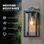 Matte Black 28.5cm H Outdoor Sconce