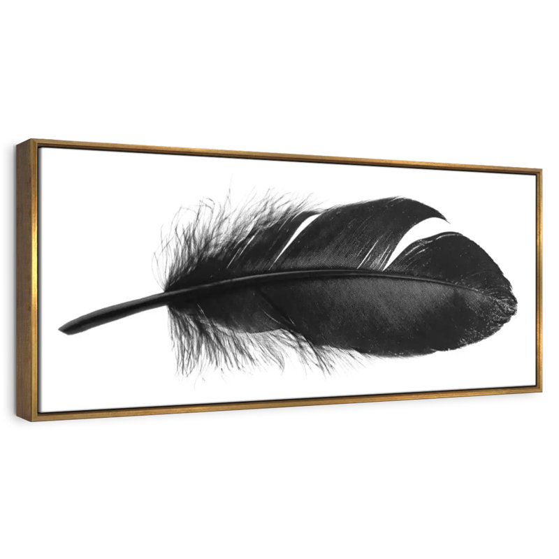 Plume foncée, 25 po x 9 po, Cadre flottant doré