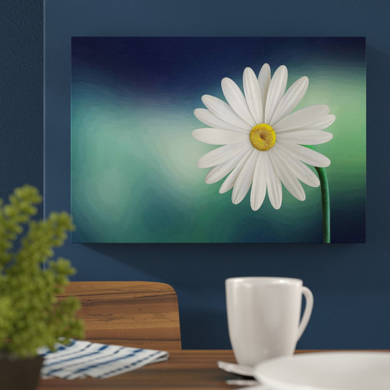 Beautiful White Daisy Photographic - Wrapped Canvas, 40cm H x 60cm W