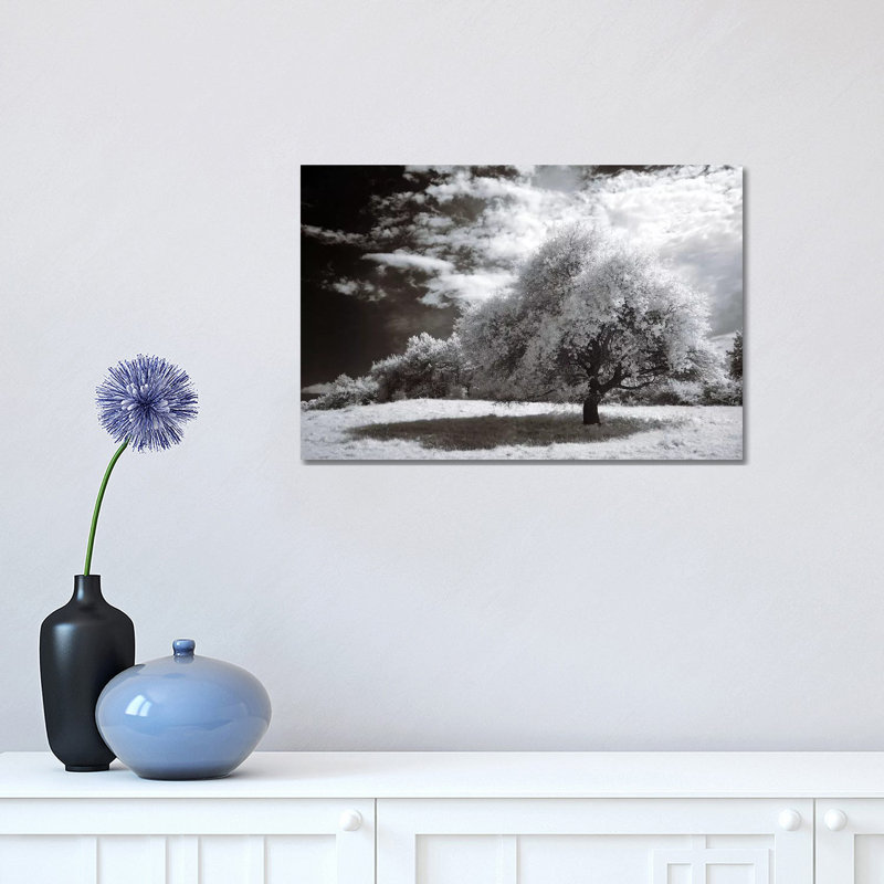Peace 1 Piece Wrapped Canvas Wall Art, 30.48 cm H x 45.72 cm W