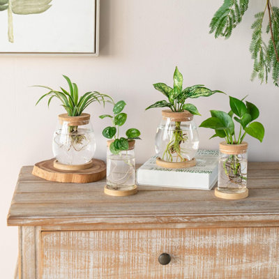 4 Pcs Plant Propagation Stations Desktop Propagated Plant Jars Terrarium Glass Planters With Wooden Base And Lid Hydroponic Vase For Indoor Plants Tabletop Home Office Décor