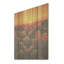 «Succulent Desert Cactus Field Burning Sunset I», art en bois succulent sur bois de pin naturel-606933387