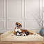 Coussin en forme de l