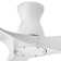 Swell 56'' Ceiling Fan with LED Lights