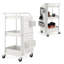 Esliabeth Metal Bar Cart