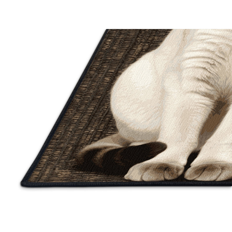  Tapis lavable à poils courts Colorpoint, Rectangle 4pi x 6 pi