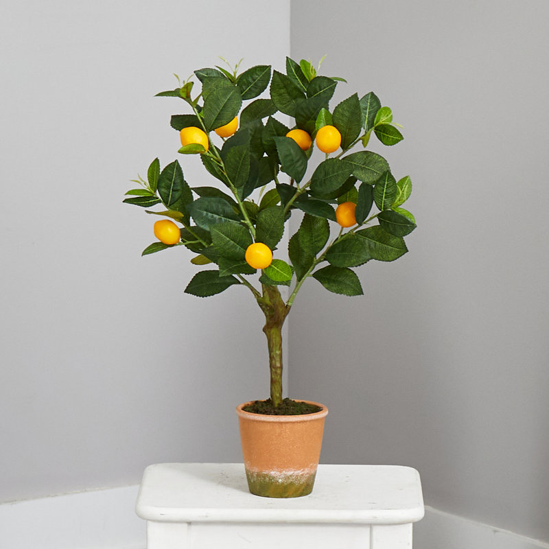  24in. Lemon Artificial Tree