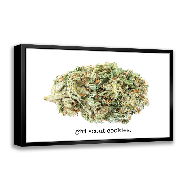 Girl Scout Cookies Strain Labellisée - Reproduction sur toile flottante