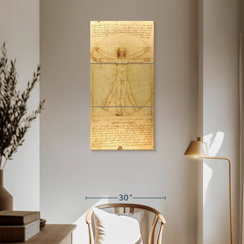 The Vitruvian Man, H 62 po x l 30 po
