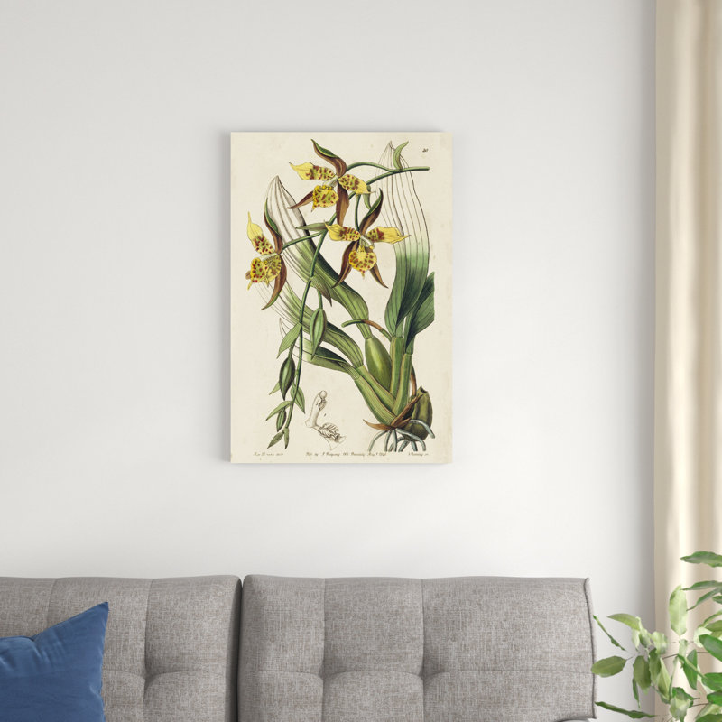 Orchidée de printemps I, H 30 po x l 20 po x P 1,25 po