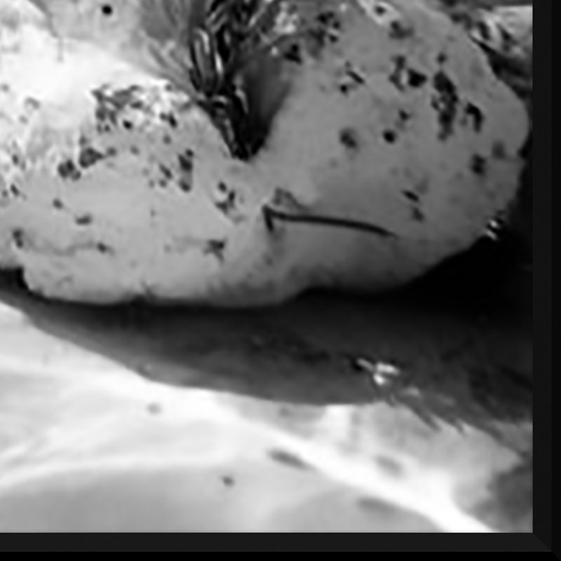 «Scuba Diver Tryptic» - Photographie encadrée sur papier, Noir