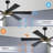 Lucienne 60'' Smart Indoor Ceiling Fan with LED Lights-654225995-654225991