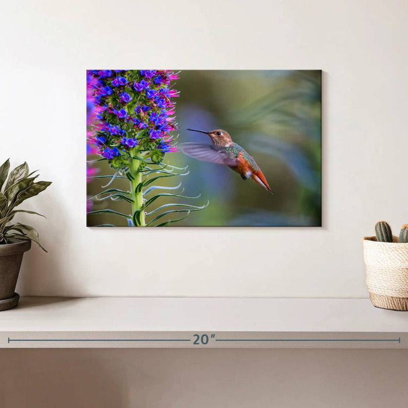 Brampt Hummingbird Feasting, 8" H x 12" W