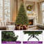 Arbre de Noël épinette pré-éclairé-137890175