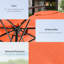 295cm Cantilever Parasol-666560207-666560206