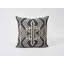 Asaka Ikat Pillow