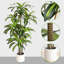 Arbre 59 po Dracaena artificiel avec pot pour l'intérieur et l'extérieur-1724638331