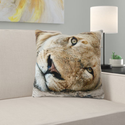 Coussin en afrique