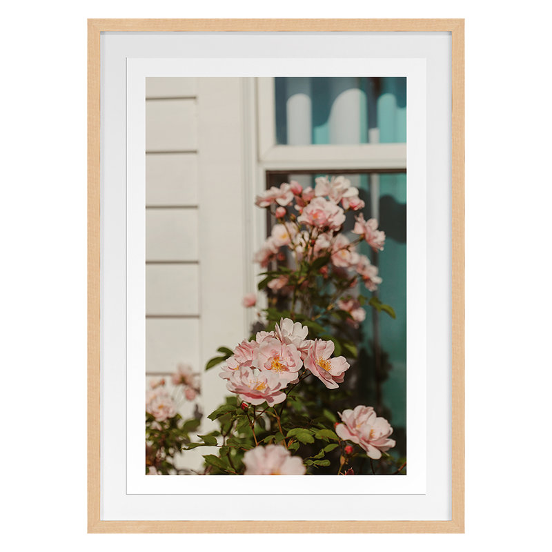 Plants & Flowers Print by Bock, Alicia, 24" H x 18" W x 1.25" D, Gold Framed Paper