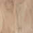 Whitewash Acacia