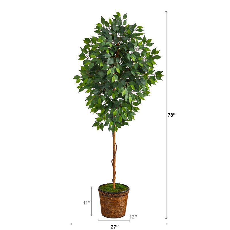 Primrue 78'' Faux Ficus Tree in Wood Planter | Wayfair