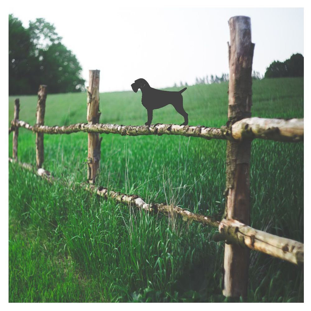 Camdenton German Wire Hair Pointer Post Top