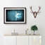 White Swan on a Blue Lake in Abstract - Picture Frame Painting Print on MDF-55612816-55612815