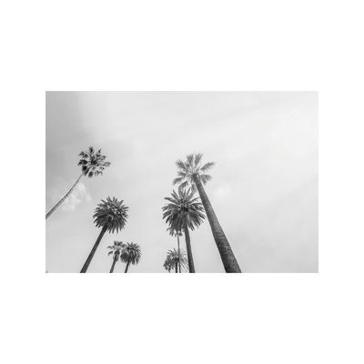 8 Palms by Honeymoon Hotel - Wrapped Canvas Giclee Art Print