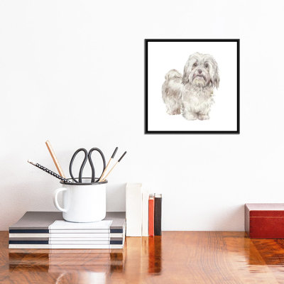 Bichon havanais cubain par Wandering Laur - reproduction d'art sur toile tendue
