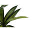 Plante en faux ciment 51,25 po Mcginnis