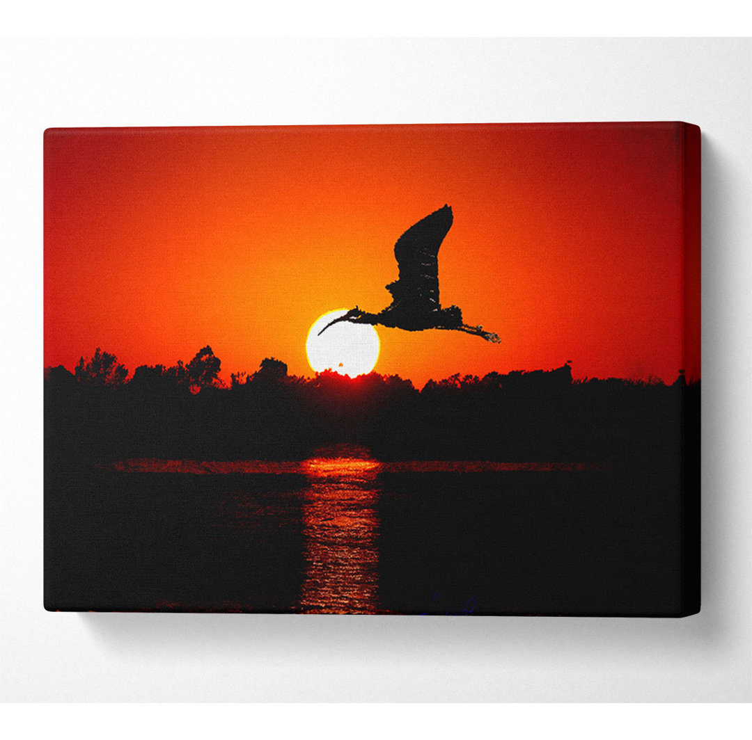 Vogel fliegt bei Sonnenuntergang - Kunstdrucke auf Leinwand