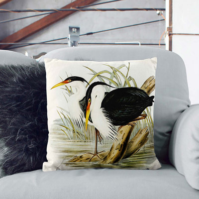 Pied Egrets by Elizabeth Gould Cushion with Filling