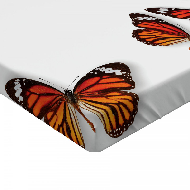 Microfiber Fitted Sheet, Queen Fitted Sheet