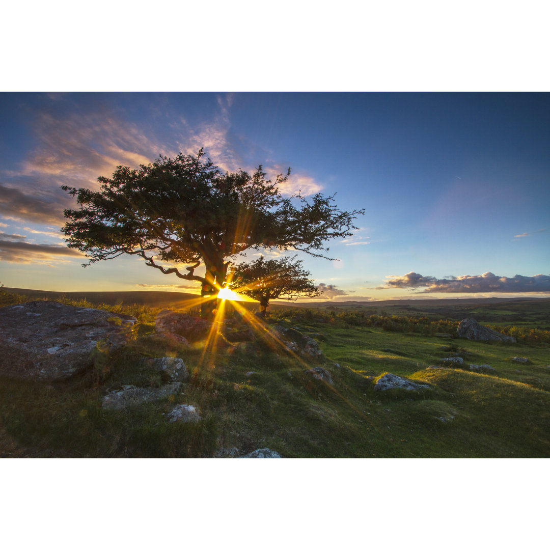 Sun Going Down over the Moor von JulieanneBirch - Leinwanddrucke