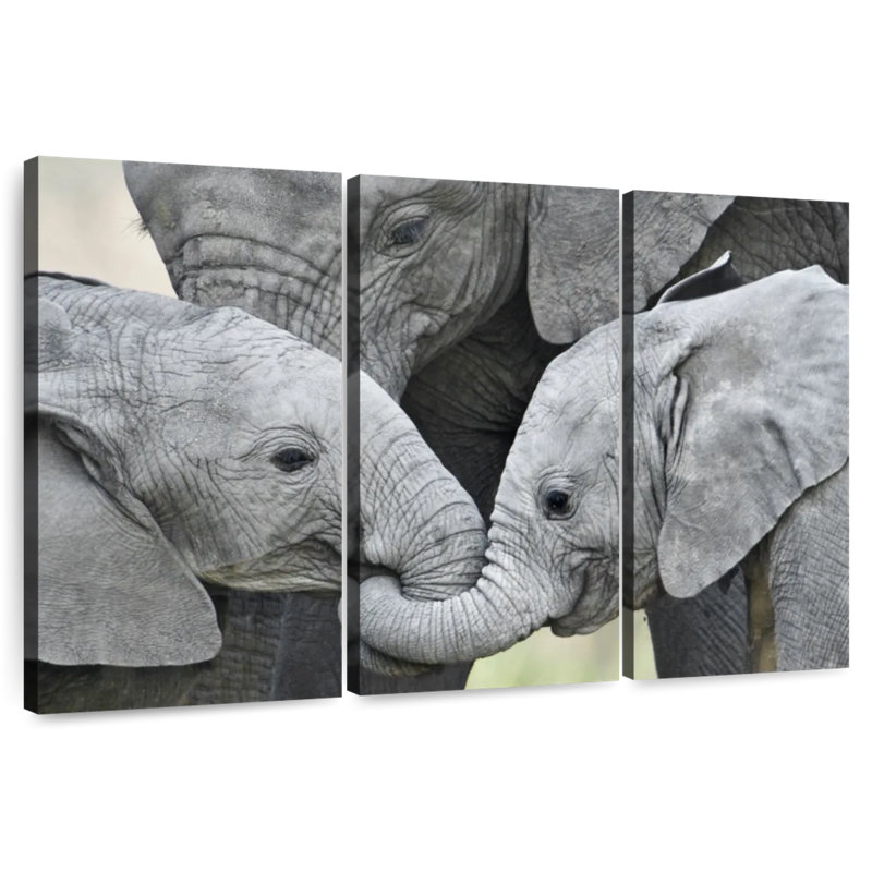 Éléphants d'Afrique Brampt - Brampt - Tanzanie, H 48 po x l 74 po